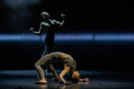 DOROTEA SAYKALY